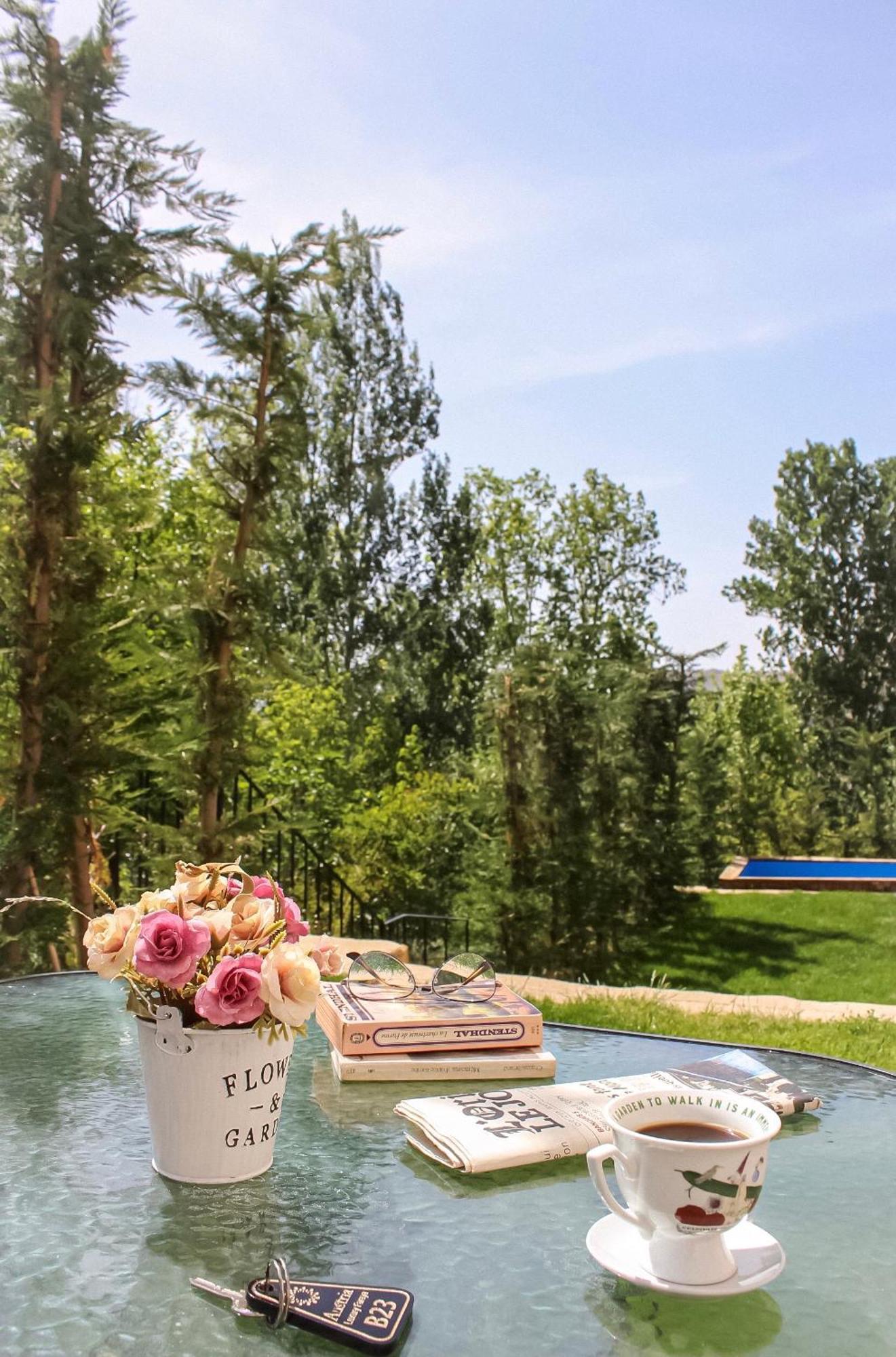 Austria Luxury Apartments, Faraya Hotel エクステリア 写真