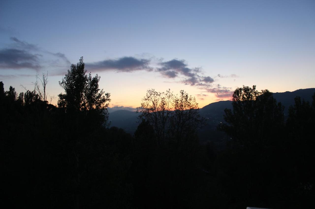 Austria Luxury Apartments, Faraya Hotel エクステリア 写真
